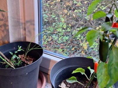 Ein (fast) verlorenes&nbsp;Jahr